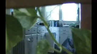 La telecamera ha filmato il mature vecchie troie ginecologo che scopa la paziente del Dipartimento femminile